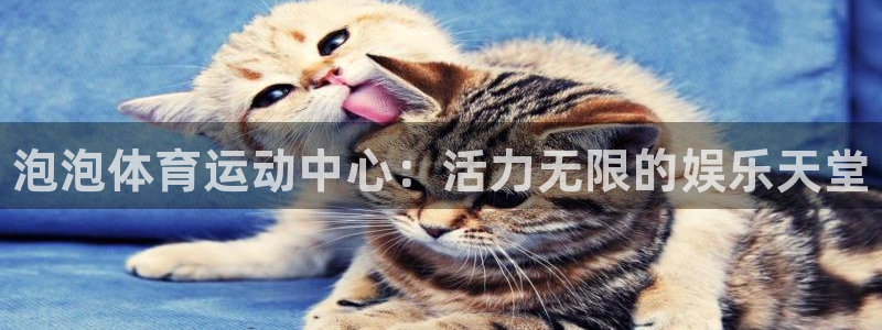 oety欧亿体育官网下载：泡泡体育运动中心：活力无限的娱乐天