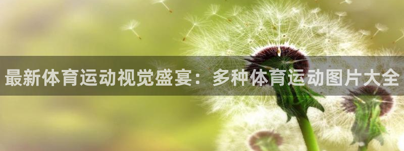 oety欧亿体育官网下载是干嘛的公司：最新体育运动视觉盛宴：