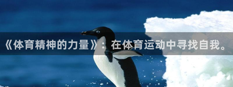 oety欧亿体育官网下载平台是正规平台吗：《体育精神