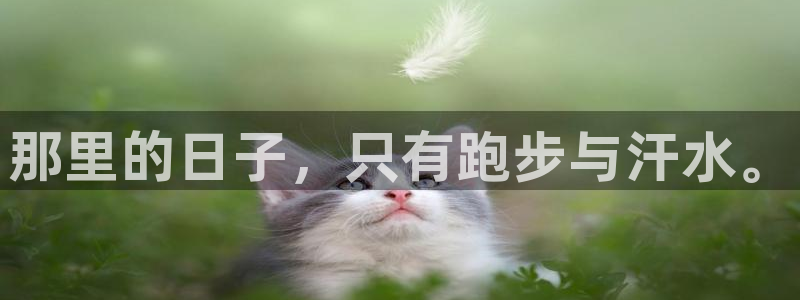 欧亿体育官方正版app科技：那里的日子，只有跑步与汗
