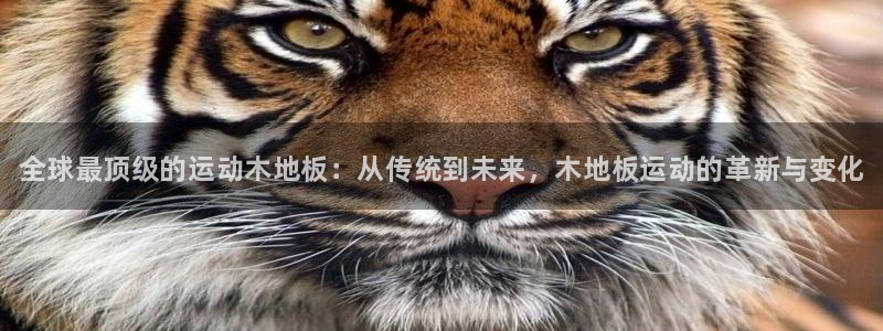 oety欧亿体育官网下载平台注册要钱吗安全吗：全球最