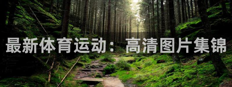 欧亿体育官方正版app娱乐是那个系列的台子：最新体育运动：高
