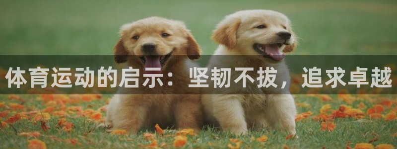 oety欧亿体育官网下载招商电话：体育运动的启示：坚韧不拔，