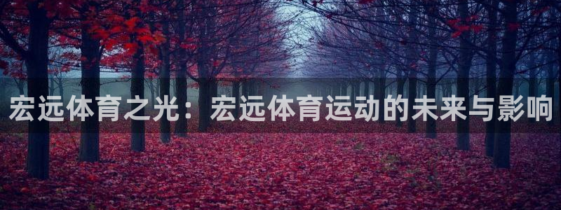 oety欧亿体育官网下载官方客服电话：宏远体育之光：宏远体育