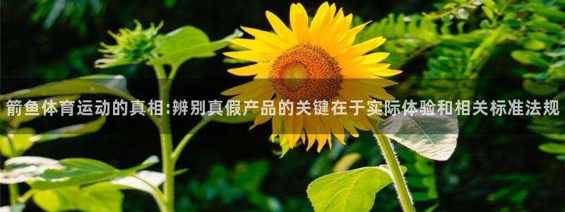 oety欧亿体育官网下载平台注册流程视频：箭鱼体育运
