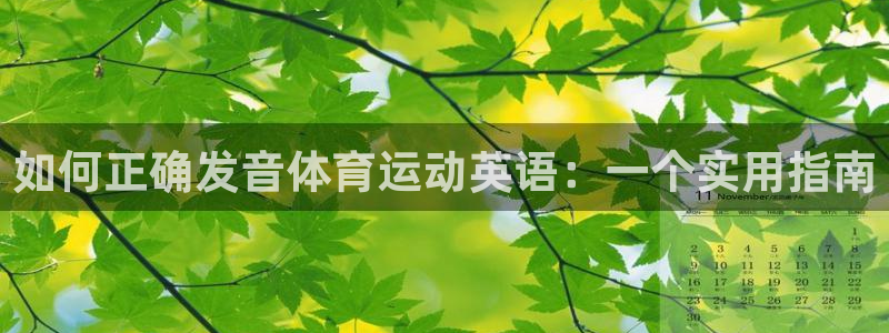 欧亿体育官方正版app官方：如何正确发音体育运动英语：一个实