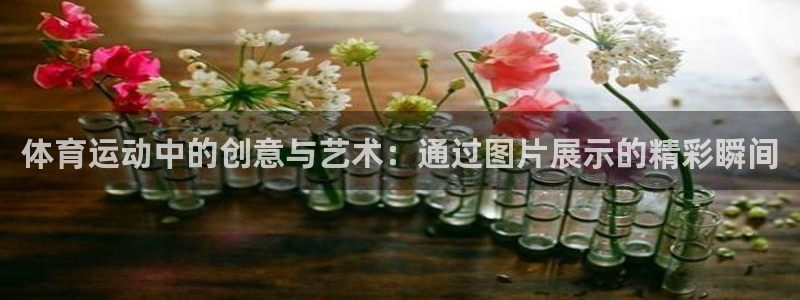  oe欧亿官方网站：体育运动中的创意与艺术：通过图片展示的精彩