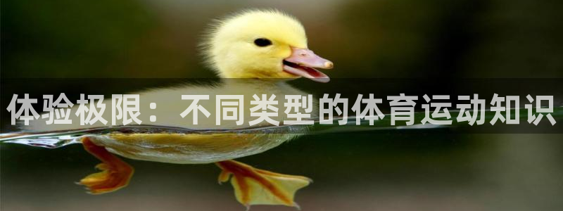 欧亿3浗维33 300