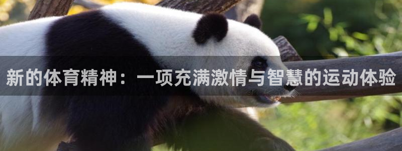 oety欧亿体育：新的体育精神：一项