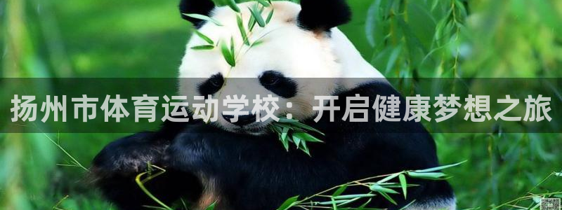 oe欧亿下载候都说网络不正常是什么意