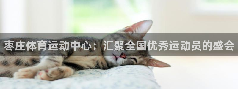 欧亿官网最新下载.官网app.中国：枣庄体育运动中心：汇聚全