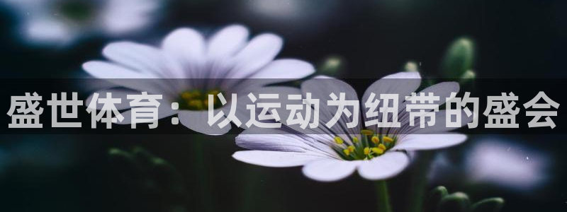 欧亿国际app下载：盛世体育：以运动为纽带的盛会