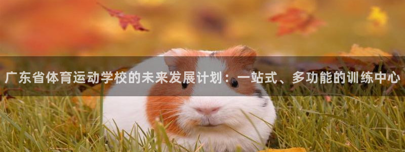 欧亿3浗维33 300：广东省体育运