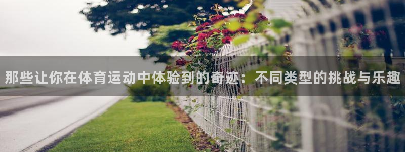 欧亿平台注册：那些让你在体育运动中体验到的奇迹：不同类型的挑
