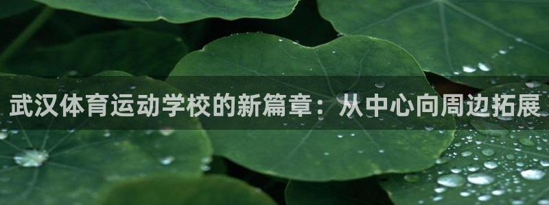  欧亿3内部：武汉体育运动学校的新篇章：从中心向周边拓展